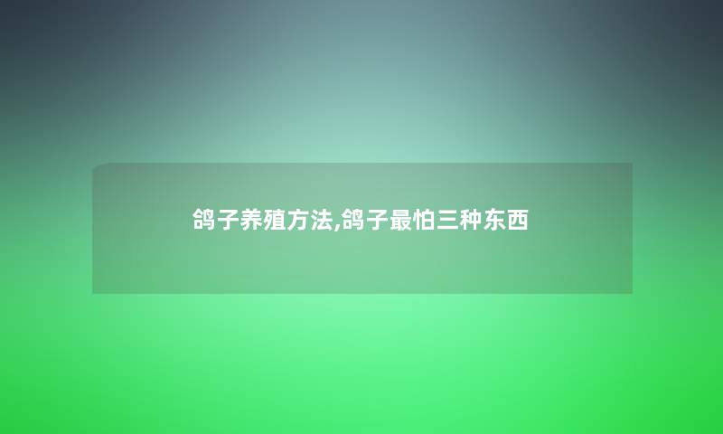 鸽子养殖方法,鸽子怕三种东西