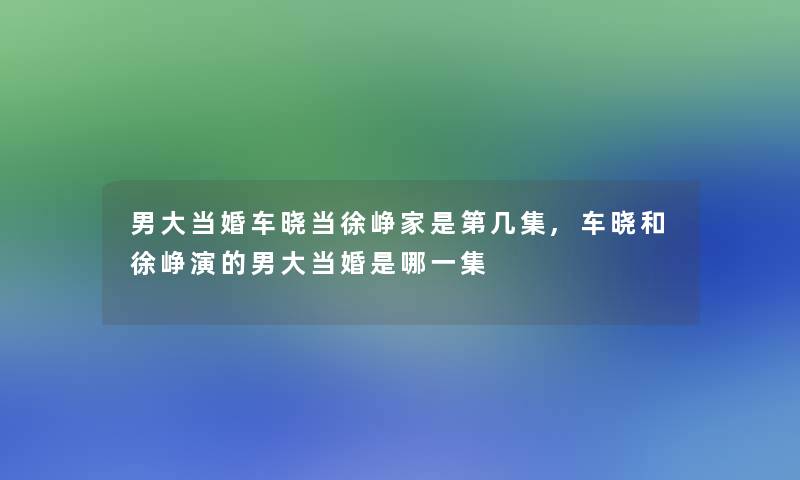男大当婚车晓当徐峥家是第几集,车晓和徐峥演的男大当婚是哪一集