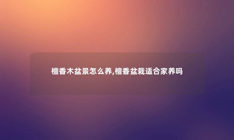 檀香木盆景怎么养,檀香盆栽适合家养吗