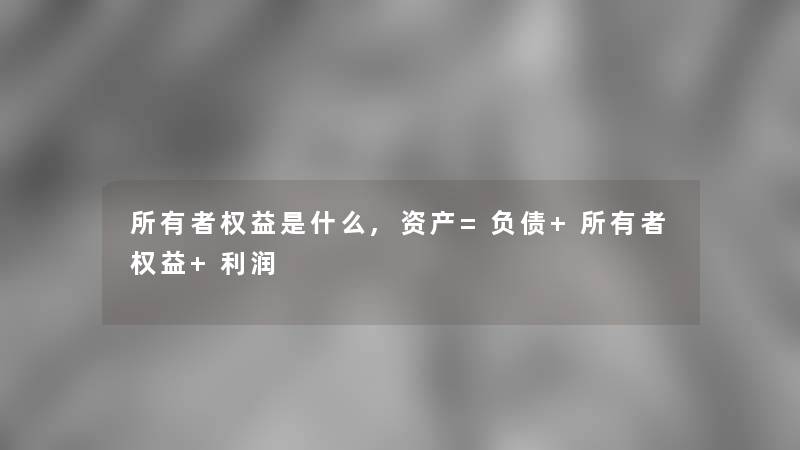 所有者权益是什么,资产=负债+所有者权益+利润