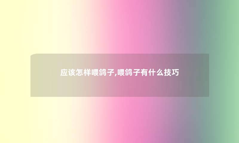 应该怎样喂鸽子,喂鸽子有什么技巧