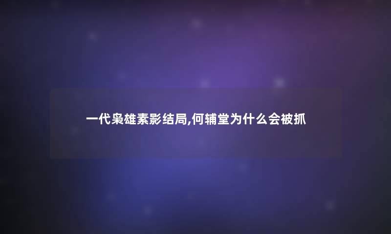 一代枭雄素影结局,何辅堂为什么会被抓