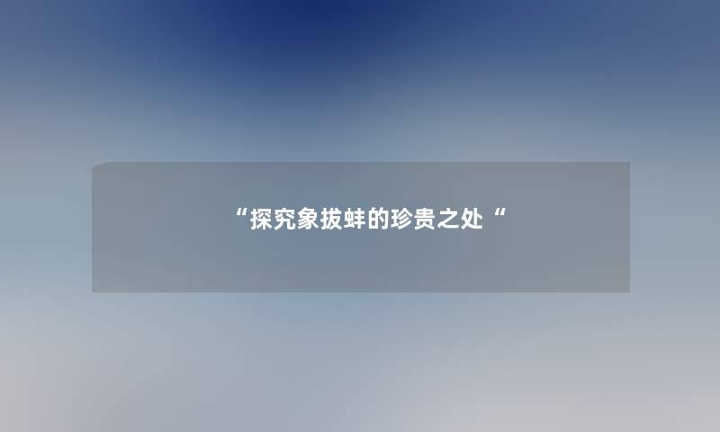 探究象拔蚌的珍贵之处