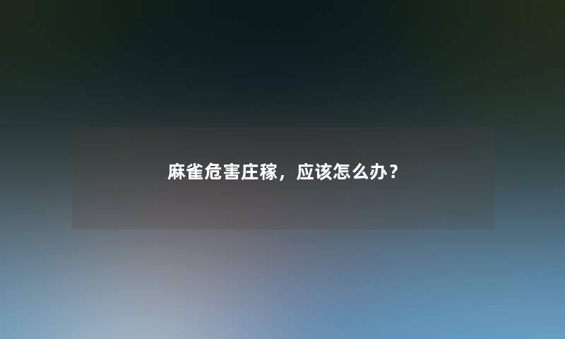 麻雀危害庄稼，应该怎么办？