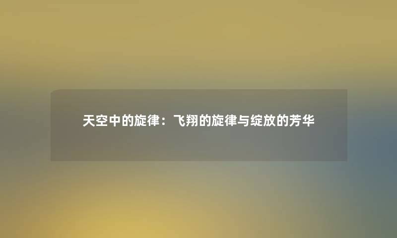 天空中的旋律：飞翔的旋律与绽放的芳华