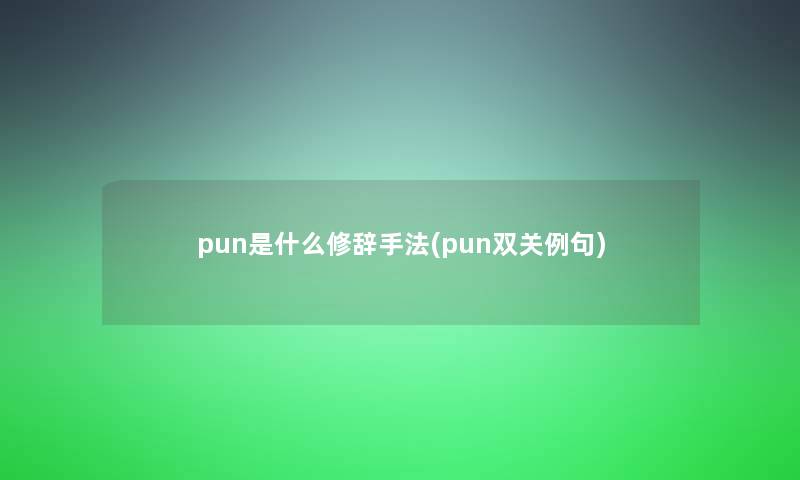 pun是什么修辞手法(pun双关例句)