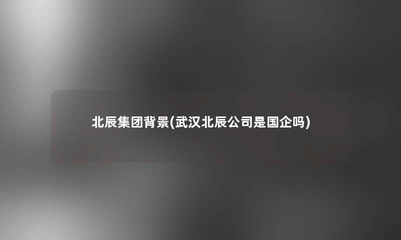 北辰集团(武汉北辰公司是国企吗)