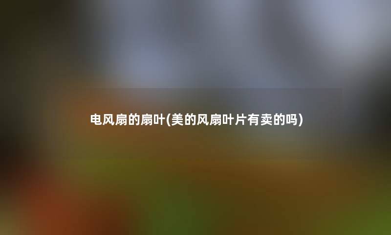 电风扇的扇叶(美的风扇叶片有卖的吗)