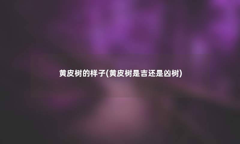 黄皮树的样子(黄皮树是吉还是凶树)