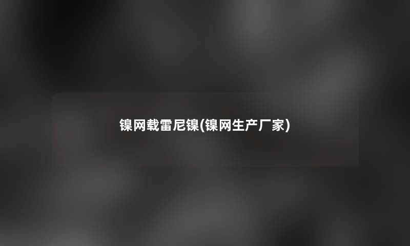 镍网载雷尼镍(镍网生产厂家)