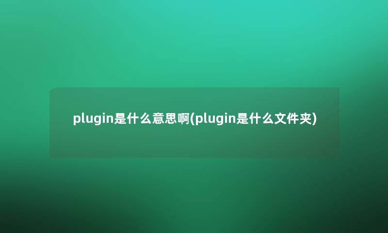 plugin是什么意思啊(plugin是什么文件夹)
