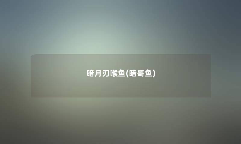 暗月刃喉鱼(暗哥鱼)