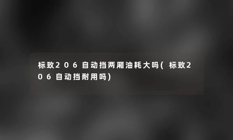 标致206自动挡两厢油耗大吗(标致206自动挡耐用吗)