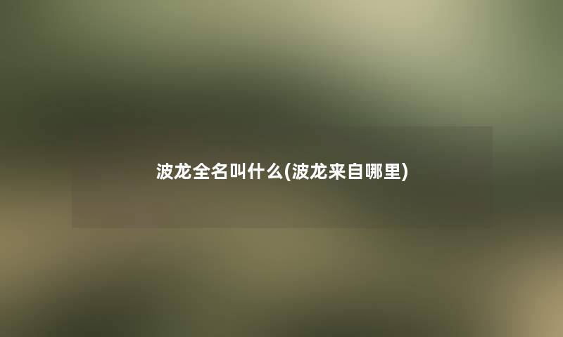 波龙全名叫什么(波龙来自哪里)