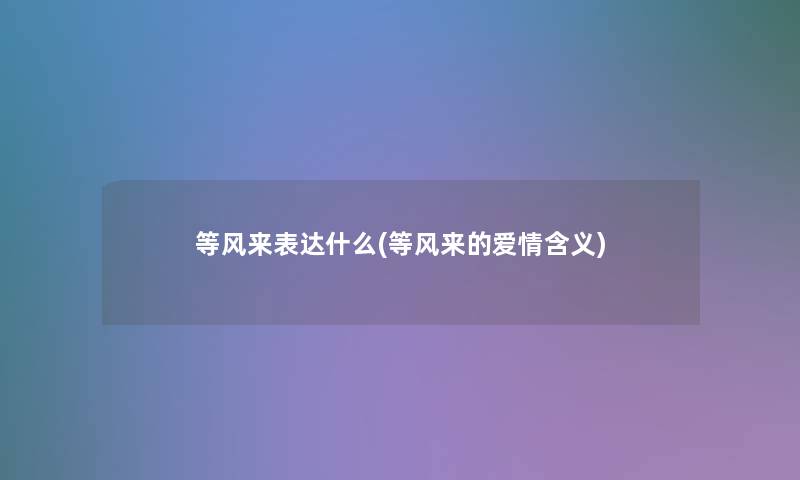 等风来表达什么(等风来的爱情含义)