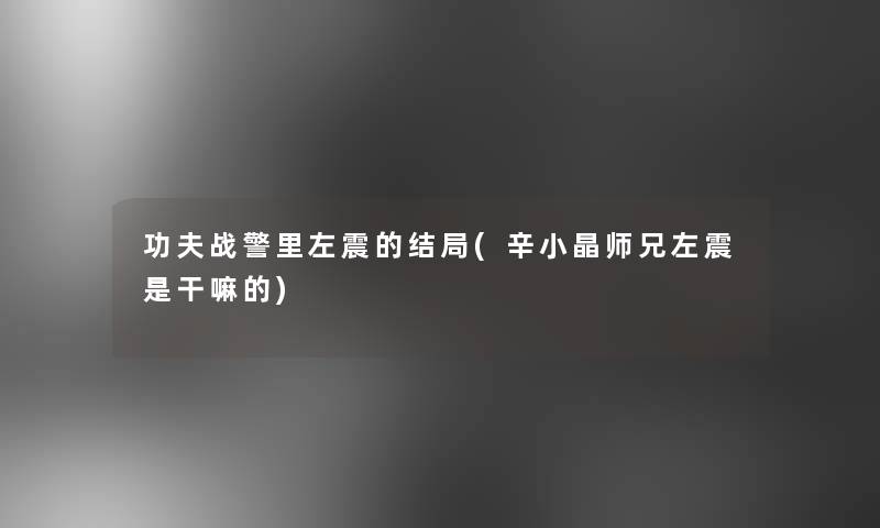 功夫战警里左震的结局(辛小晶师兄左震是干嘛的)