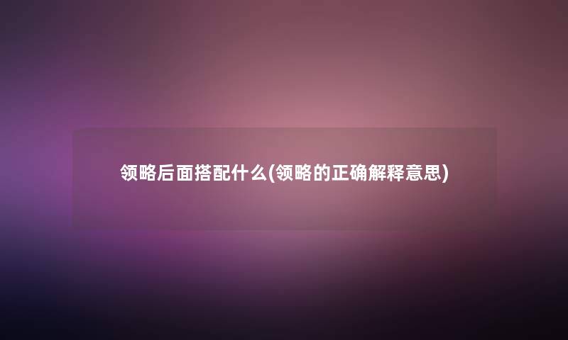 领略后面搭配什么(领略的正确解释意思)