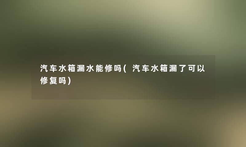 汽车水箱漏水能修吗(汽车水箱漏了可以修复吗)