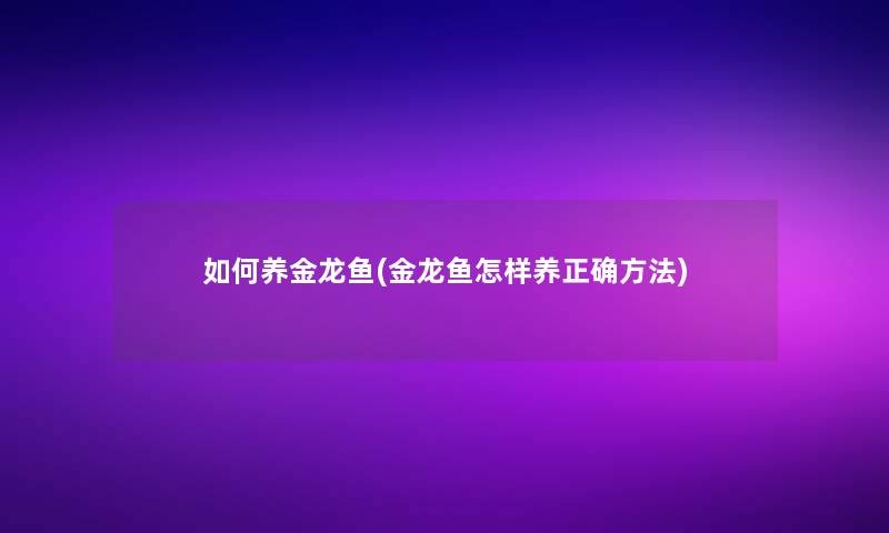 如何养金龙鱼(金龙鱼怎样养正确方法)