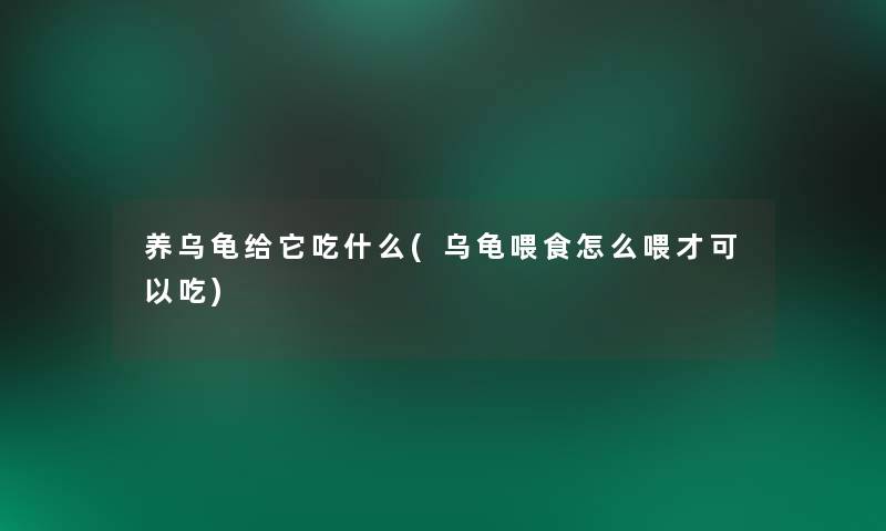 养乌龟给它吃什么(乌龟喂食怎么喂才可以吃)