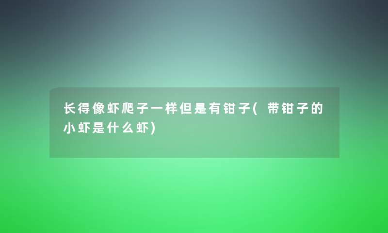 长得像虾爬子一样但是有钳子(带钳子的小虾是什么虾)