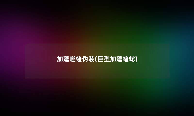 加蓬咝蝰伪装(巨型加蓬蝰蛇)