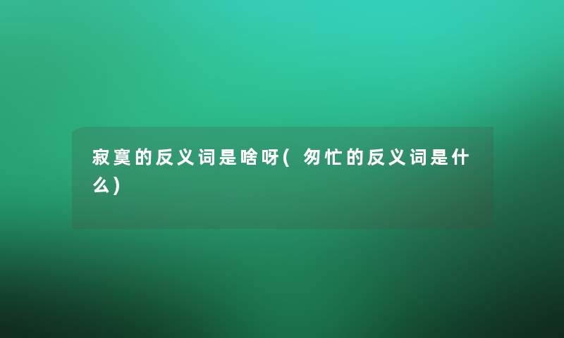 寂寞的反义词是啥呀(匆忙的反义词是什么)