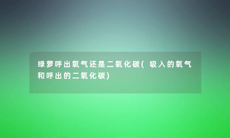 绿萝呼出氧气还是二氧化碳(吸入的氧气和呼出的二氧化碳)