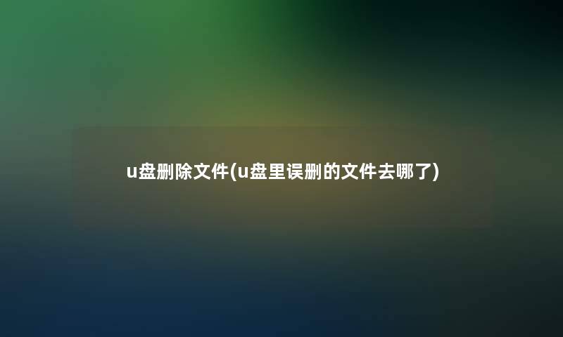 u盘删除文件(u盘里误删的文件去哪了)