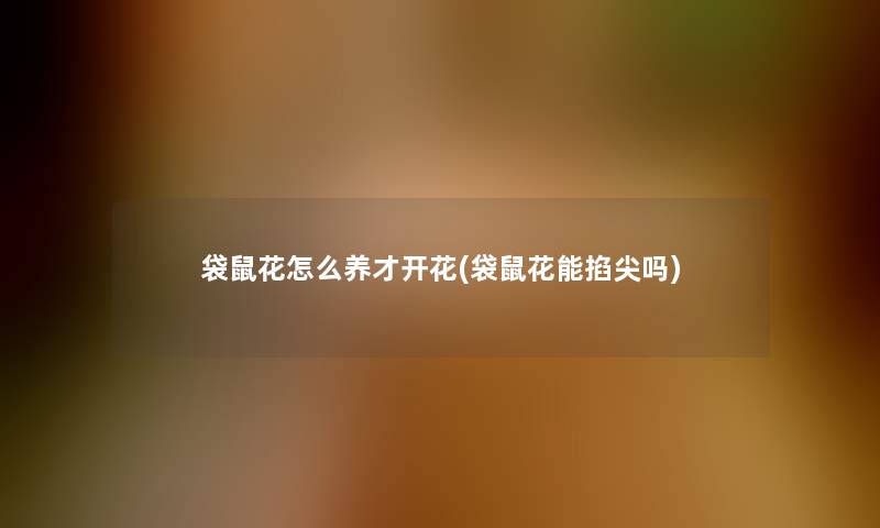 袋鼠花怎么养才开花(袋鼠花能掐尖吗)