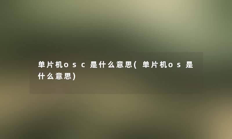单片机osc是什么意思(单片机os是什么意思)