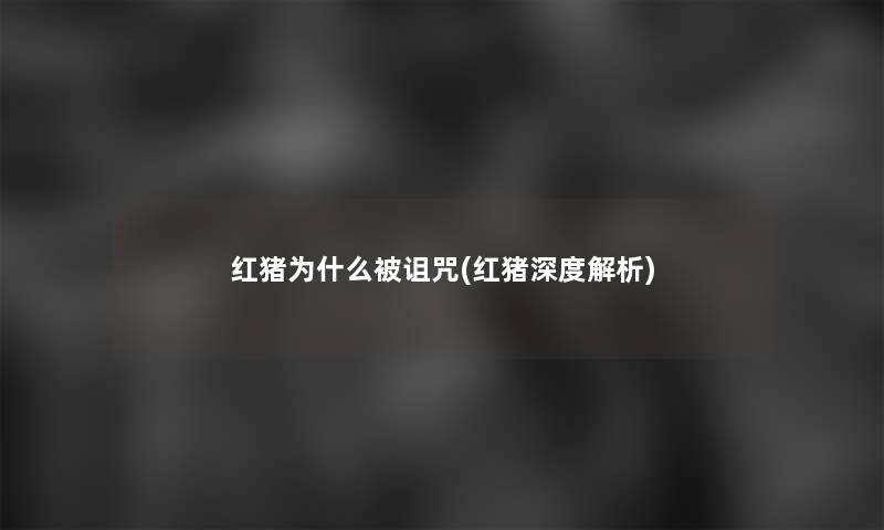 红猪为什么被诅咒(红猪深度解析)