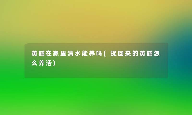 黄鳝在家里清水能养吗(捉回来的黄鳝怎么养活)