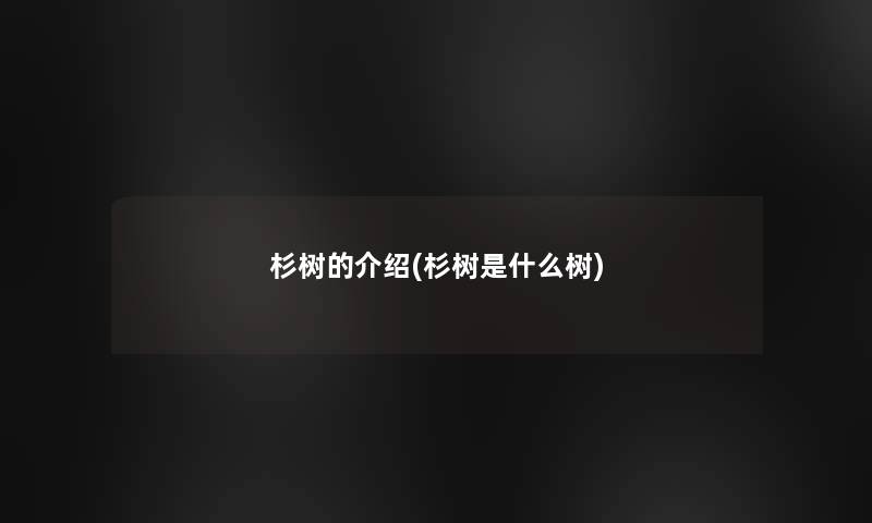杉树的介绍(杉树是什么树)