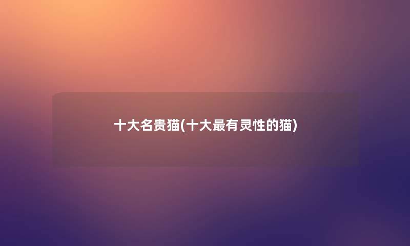 一些名贵猫(一些有灵性的猫)