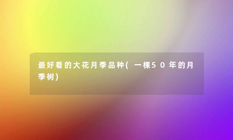 好看的大花月季品种(一棵50年的月季树)