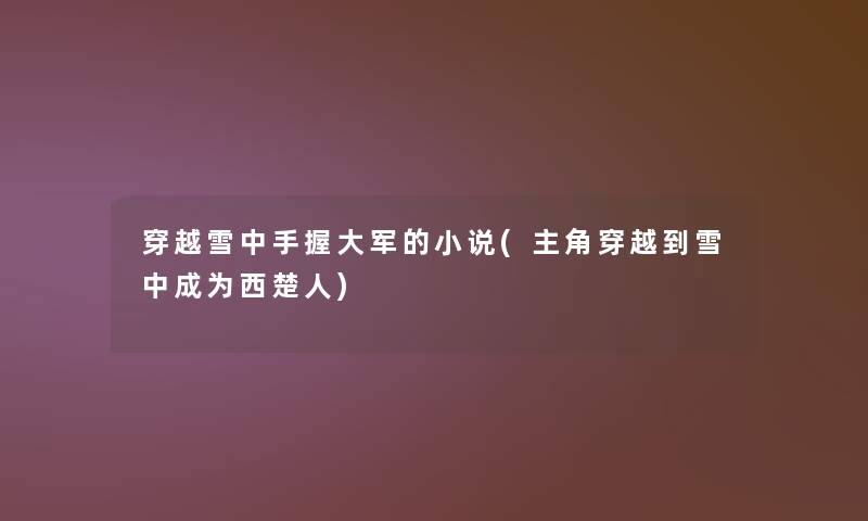 穿越雪中手握大军的小说(主角穿越到雪中成为西楚人)