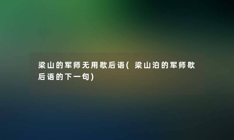 梁山的军师无用歇后语(梁山泊的军师歇后语的下一句)