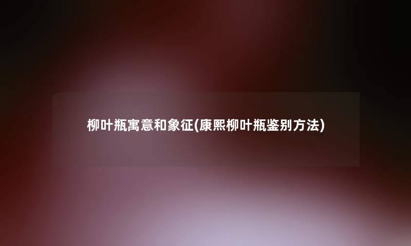 柳叶瓶寓意和象征(康熙柳叶瓶鉴别方法)