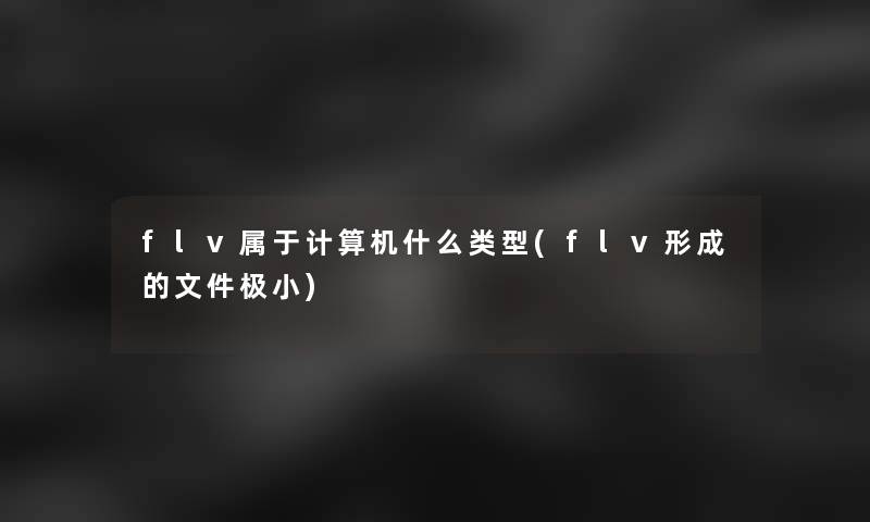flv属于计算机什么类型(flv形成的文件极小)