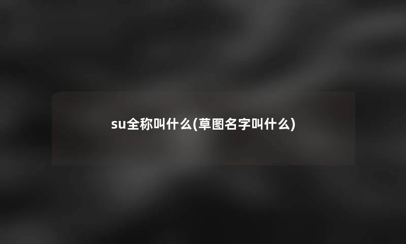 su全称叫什么(草图名字叫什么)
