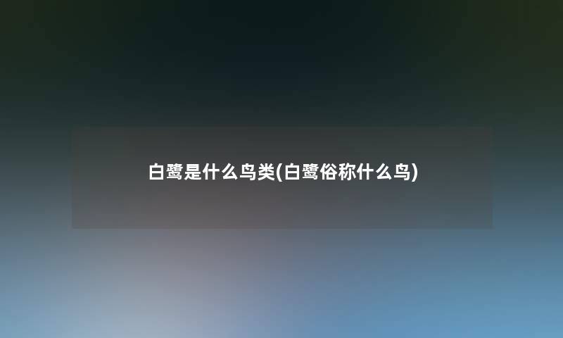 白鹭是什么鸟类(白鹭俗称什么鸟)