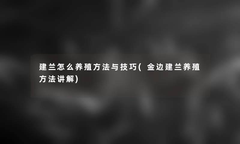 建兰怎么养殖方法与技巧(金边建兰养殖方法讲解)