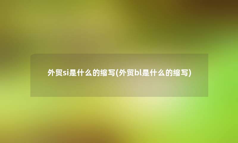 外贸si是什么的缩写(外贸bl是什么的缩写)