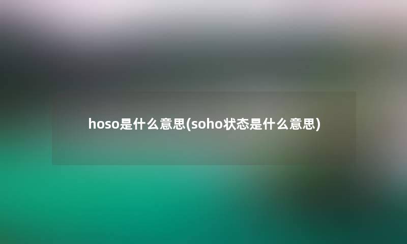 hoso是什么意思(soho状态是什么意思)