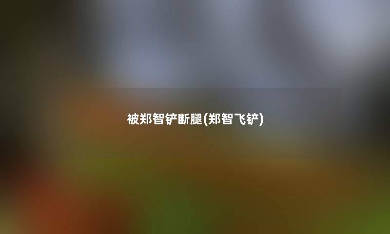 被郑智铲断腿(郑智飞铲)