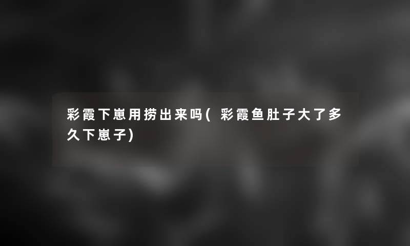 彩霞下崽用捞出来吗(彩霞鱼肚子大了多久下崽子)