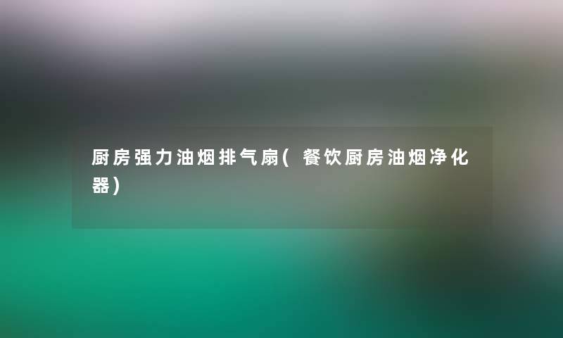 厨房强力油烟排气扇(餐饮厨房油烟净化器)