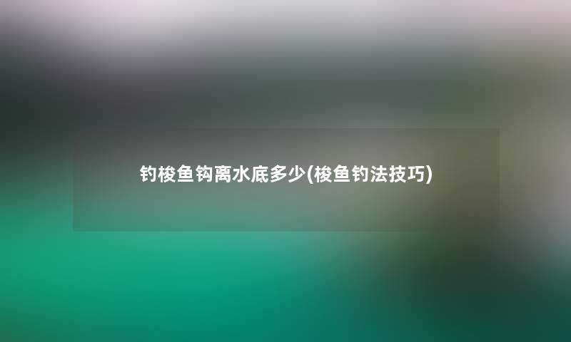 钓梭鱼钩离水底多少(梭鱼钓法技巧)