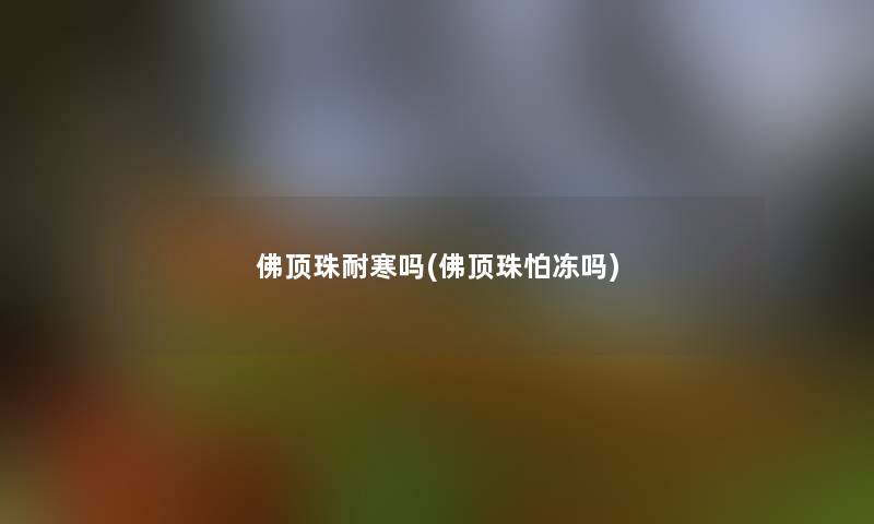 佛顶珠耐寒吗(佛顶珠怕冻吗)